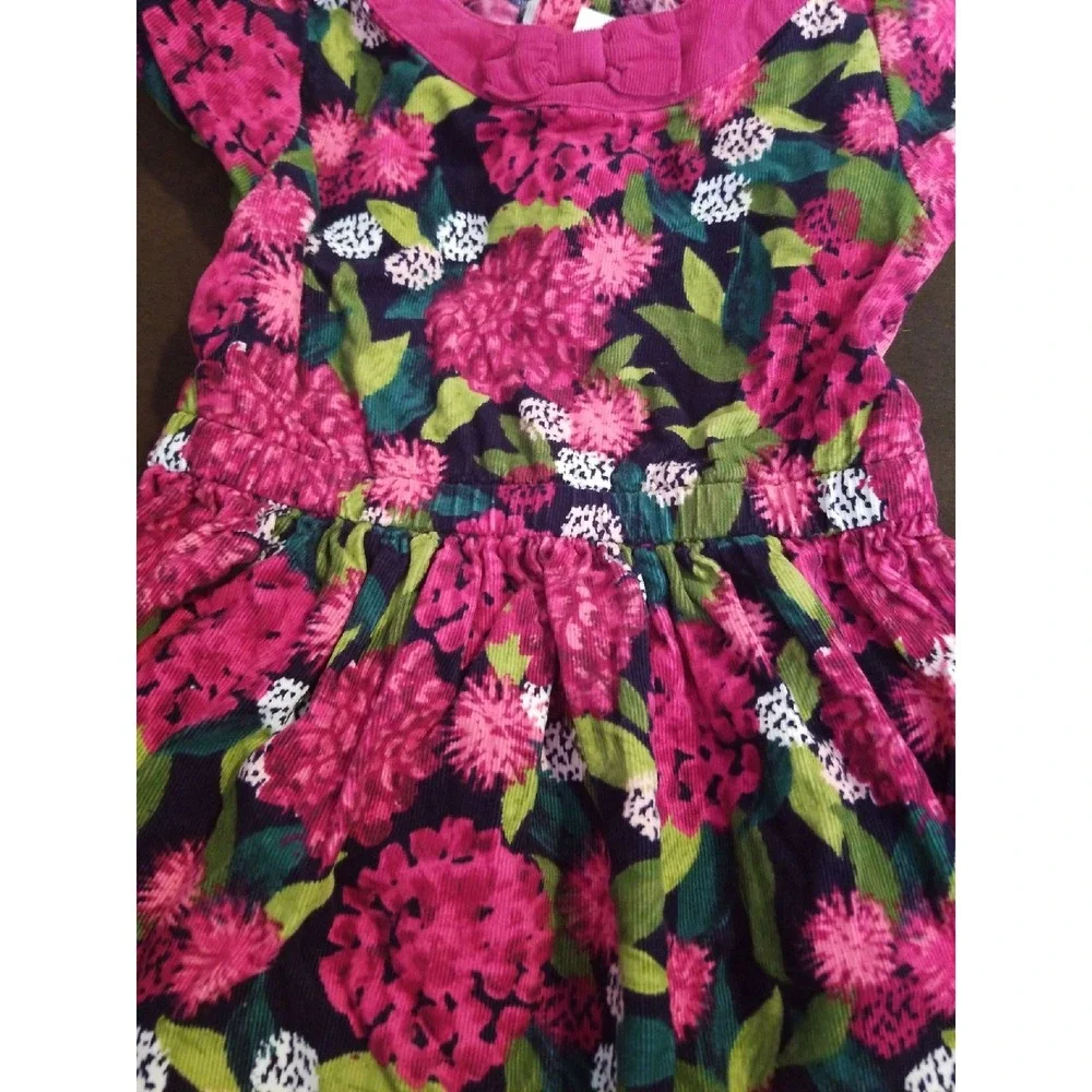 Gymboree plum pony floral dress 5t
